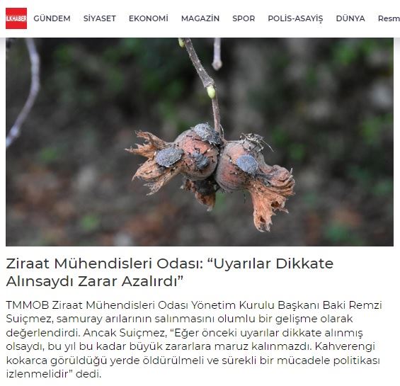 İLKHABER GAZETESİ: TÜRKİYE TARIMI TEHLİKEDE Mİ? SAMURAY ARILARI KAHVERENGİ KOKARCA İLE MÜCADELE İÇİN SAHAYA İNİYOR- 29 AĞUSTOS