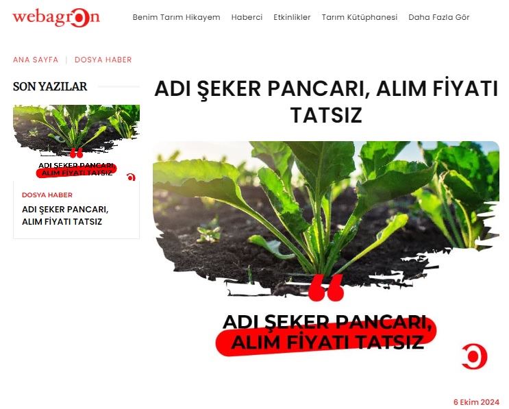 WEBAGRON.COM: ADI ŞEKER PANCARI, ALIM FİYATI TATSIZ- 6 EKİM 2024