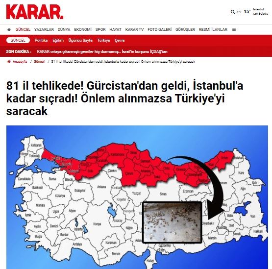 KARAR GAZETESİ: 81 İL TEHLİKEDE! GÜRCİSTAN'DAN GELDİ, İSTANBUL'A KADAR SIÇRADI! ÖNLEM ALINMAZSA TÜRKİYE'Yİ SARACAK- 17 EKİM 2024