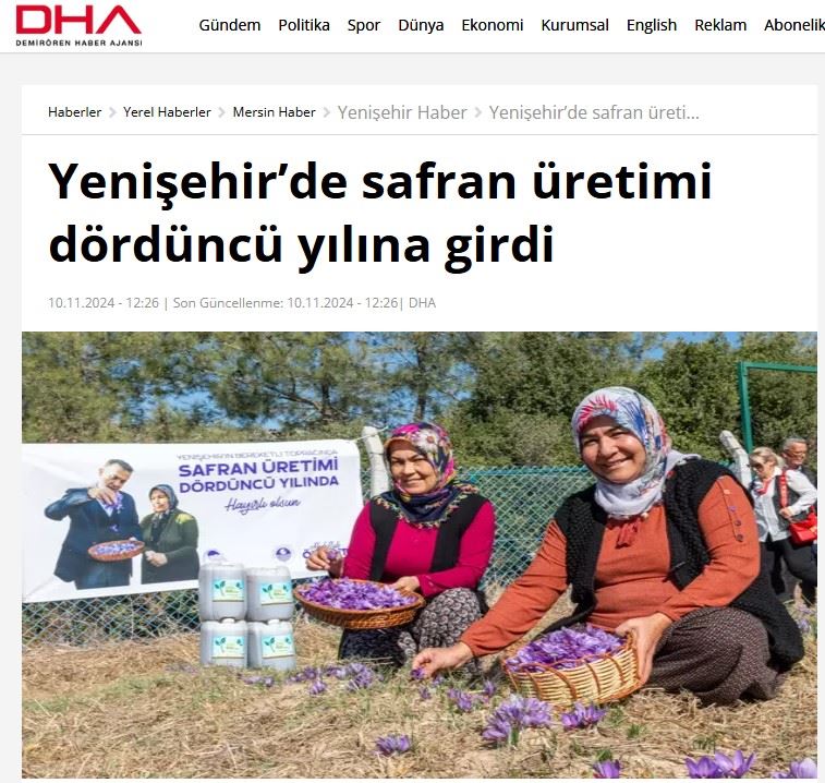 DHA: YENİŞEHİR’DE SAFRAN ÜRETİMİ DÖRDÜNCÜ YILINA GİRDİ - 10 KASIM 2024