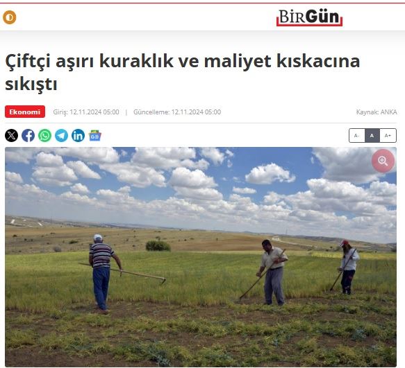 BİRGÜN GAZETESİ: ÇİFTÇİ AŞIRI KURAKLIK VE MALİYET KISKACINA SIKIŞTI- 12 KASIM 2024 