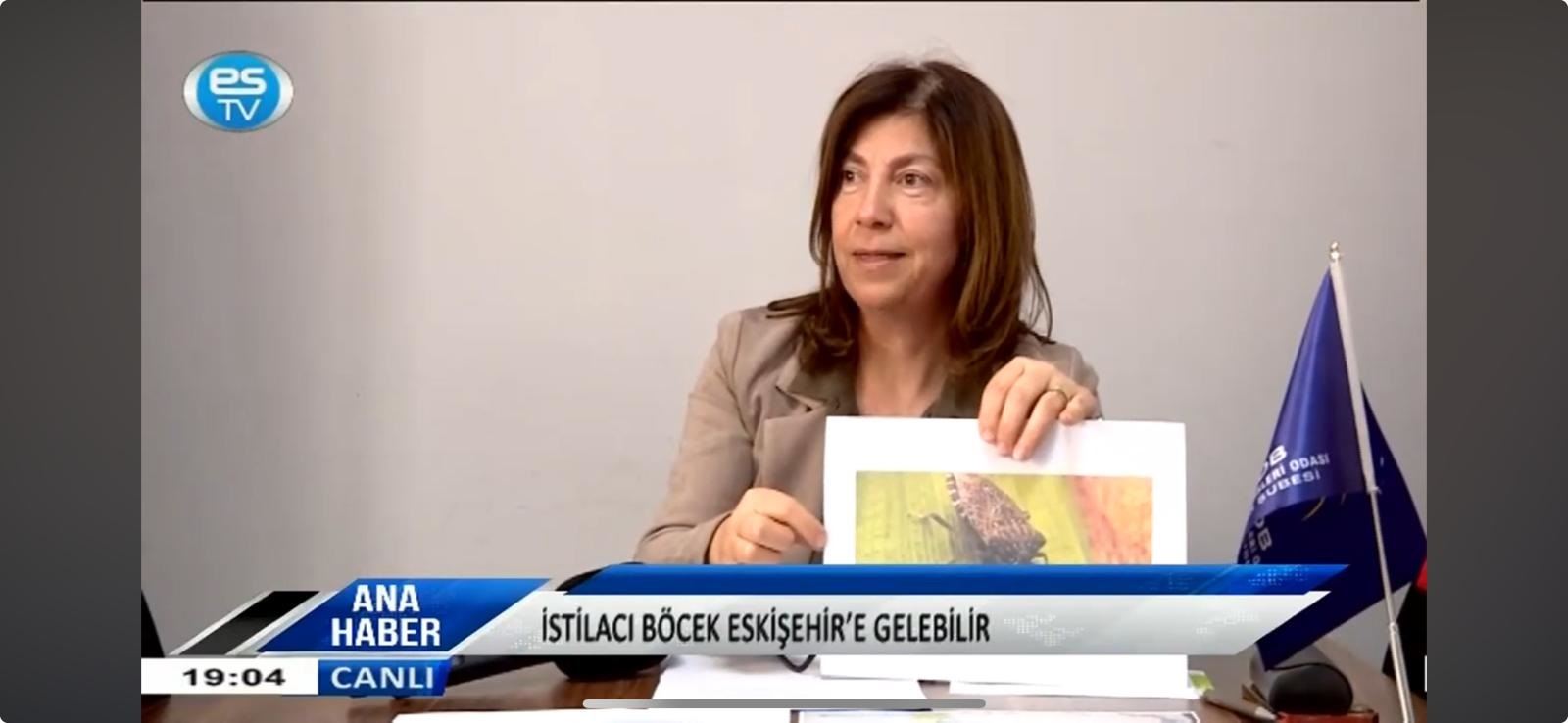 ES TV 26 EKİM 2024 ANA HABER BÜLTENİ 