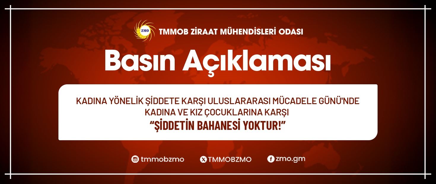 KADINA YÖNELİK ŞİDDETE KARŞI ULUSLARARASI MÜCADELE GÜNÜ'NDE  KADINA VE KIZ ÇOCUKLARINA KARŞI  “ŞİDDETİN BAHANESİ YOKTUR !”