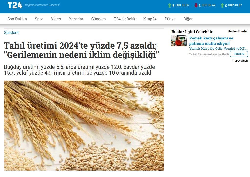 T24 GAZETESİ: TAHIL ÜRETİMİ 2024'TE YÜZDE 7,5 AZALDI; "GERİLEMENİN NEDENİ İKLİM DEĞİŞİKLİĞİ" - 3 OCAK 2025