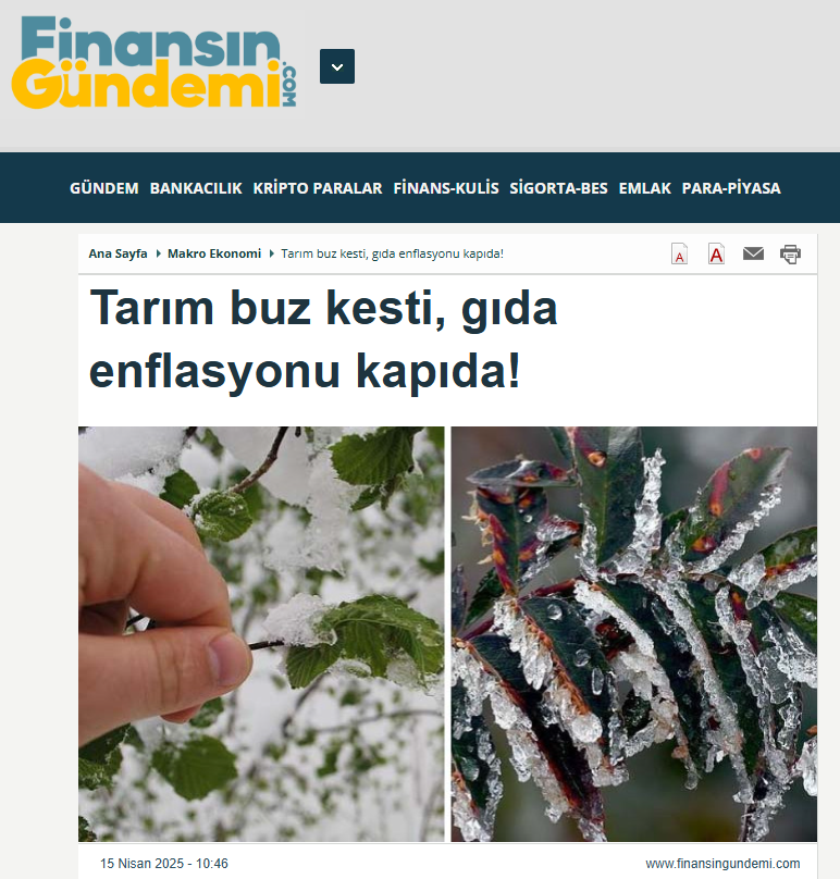 FİNANSINGÜNDEMİ.COM: TARIM BUZ KESTİ, GIDA ENFLASYONU KAPIDA! - 15 NİSAN 2025