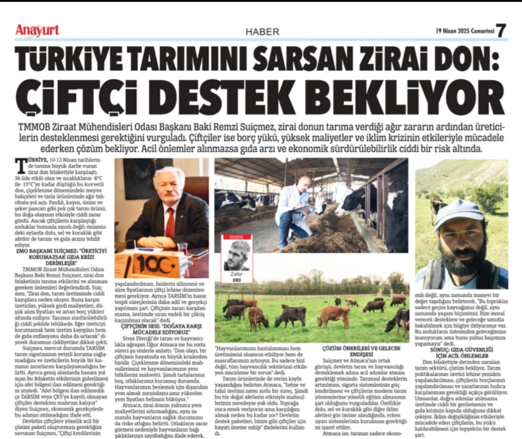 ANAYURT GAZETESİ: TÜRKİYE TARIMINI SARSAN ZİRAİ DON: ÇİFTÇİ DESTEK BEKLİYOR - 19 NİSAN 2025