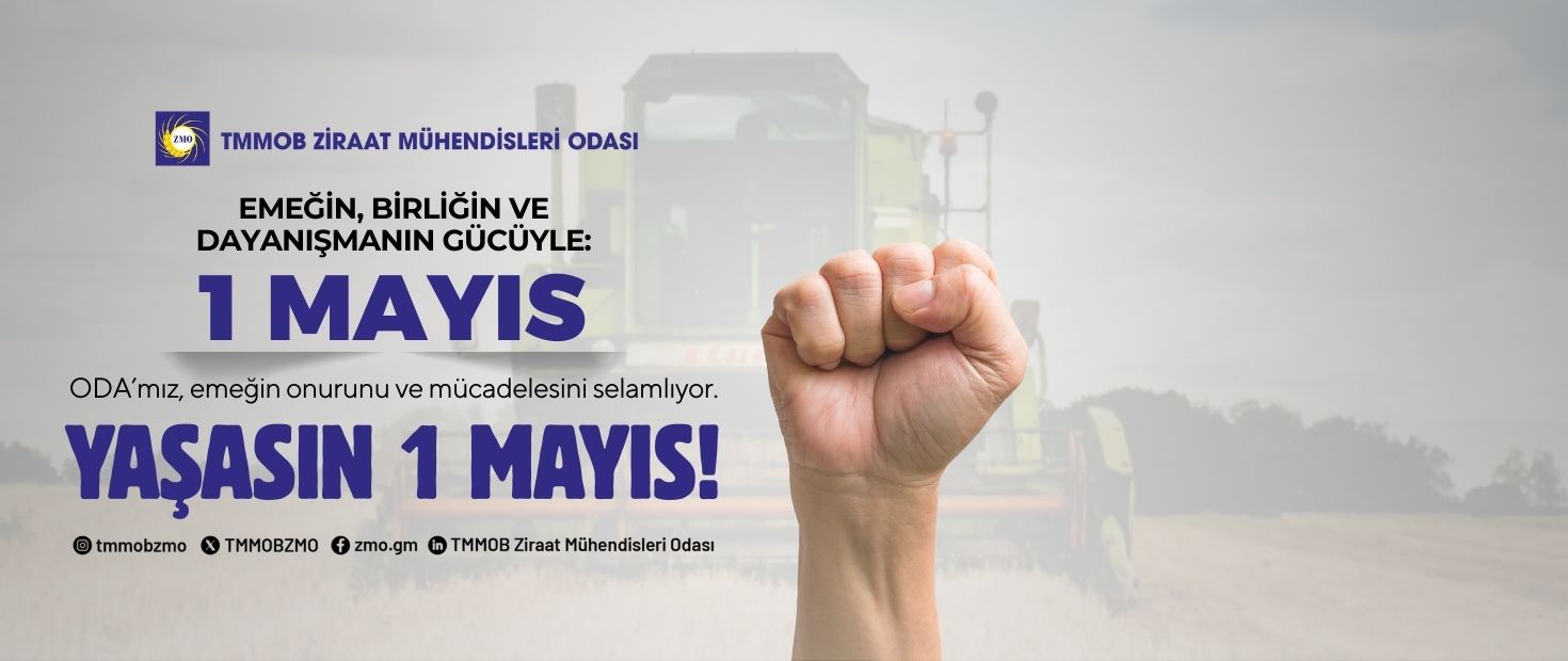 1 MAYIS BİRLİK, MÜCADELE VE DAYANIŞMA GÜNÜ KUTLU OLSUN