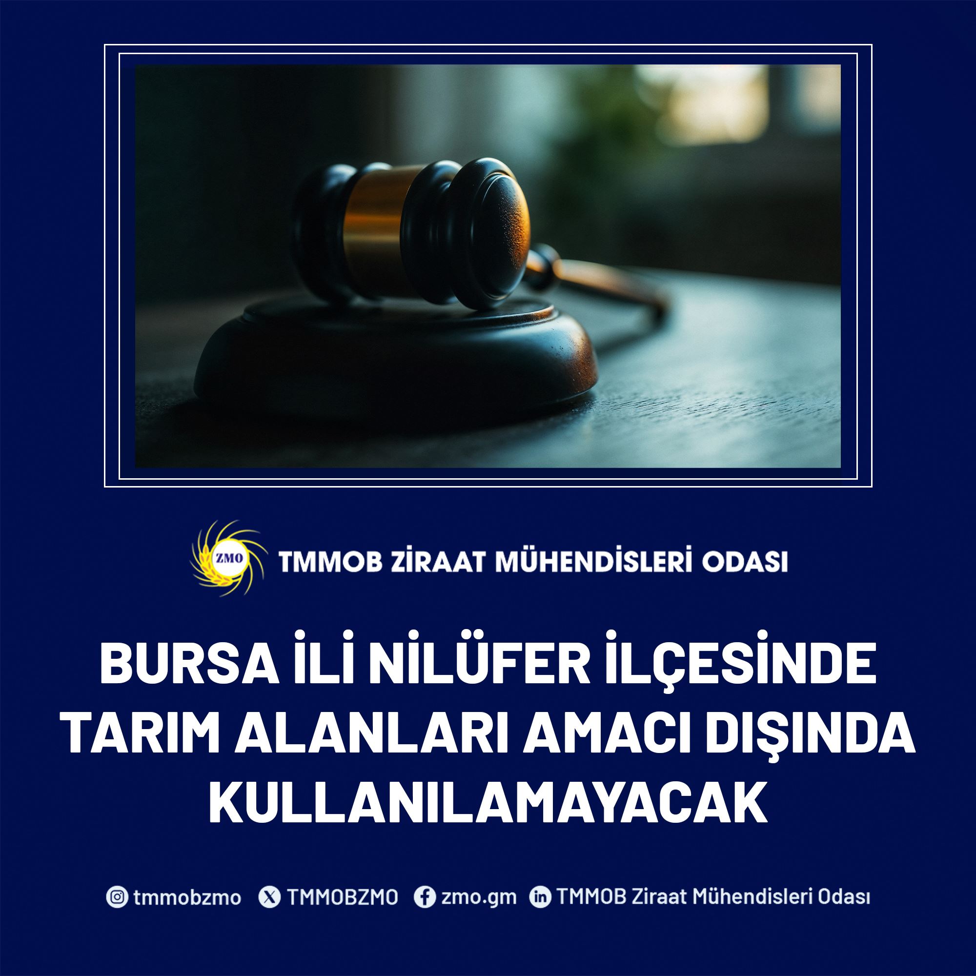 BURSA İLİ NİLÜFER İLÇESİNDE TARIM ALANLARI AMACI DIŞINDA KULLANILAMAYACAK