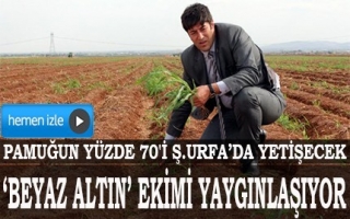 ŞANLIURFA'DA "BEYAZ ALTIN"IN EKİM ALANI ARTIYOR.. - TARIM TV