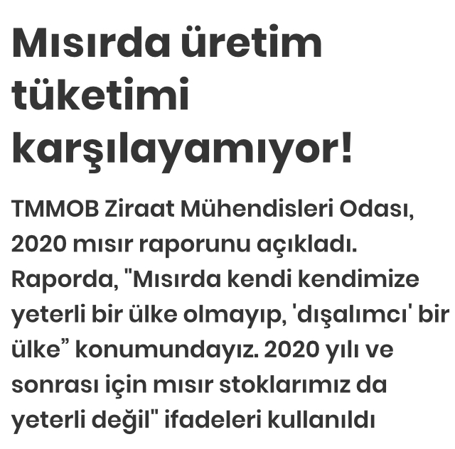 BİRGÜN GAZETESİ: MISIRDA ÜRETİM TÜKETİMİ KARŞILAYAMIYOR!- 8 NİSAN 2020