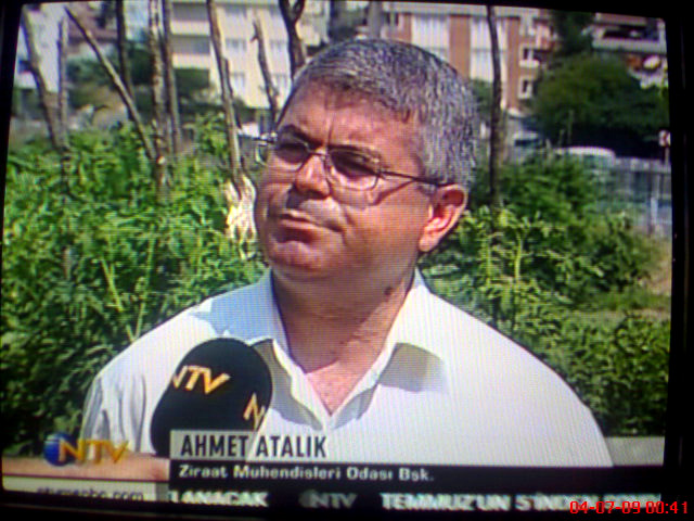 YEŞİL EKRAN - NTV