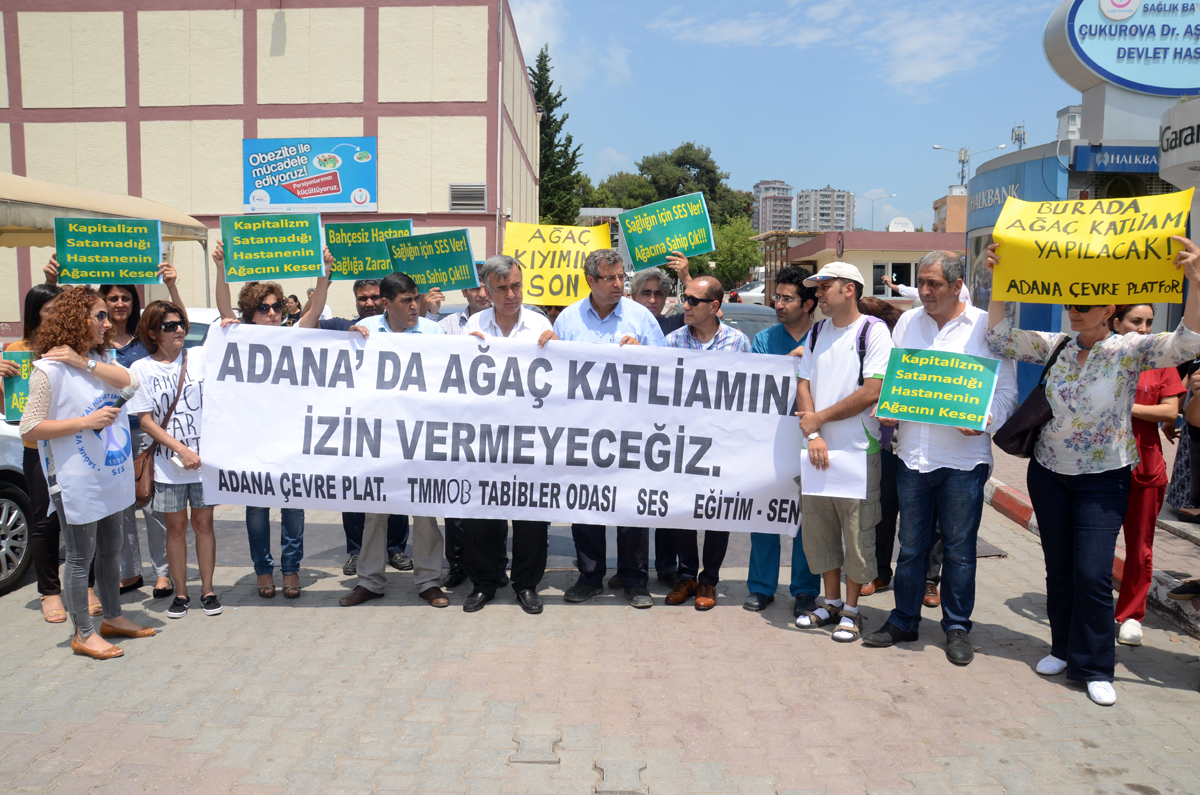 "GÖLGESİNİ SATAMADIKLARI AĞACI KESİYORLAR"