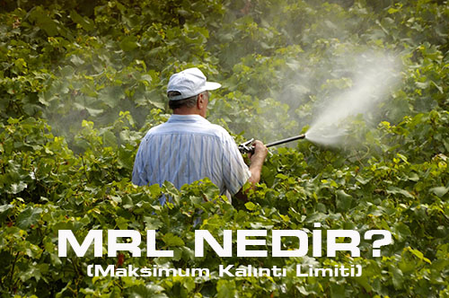 MAKSİMUM KALINTI LİMİTİ NEDİR?