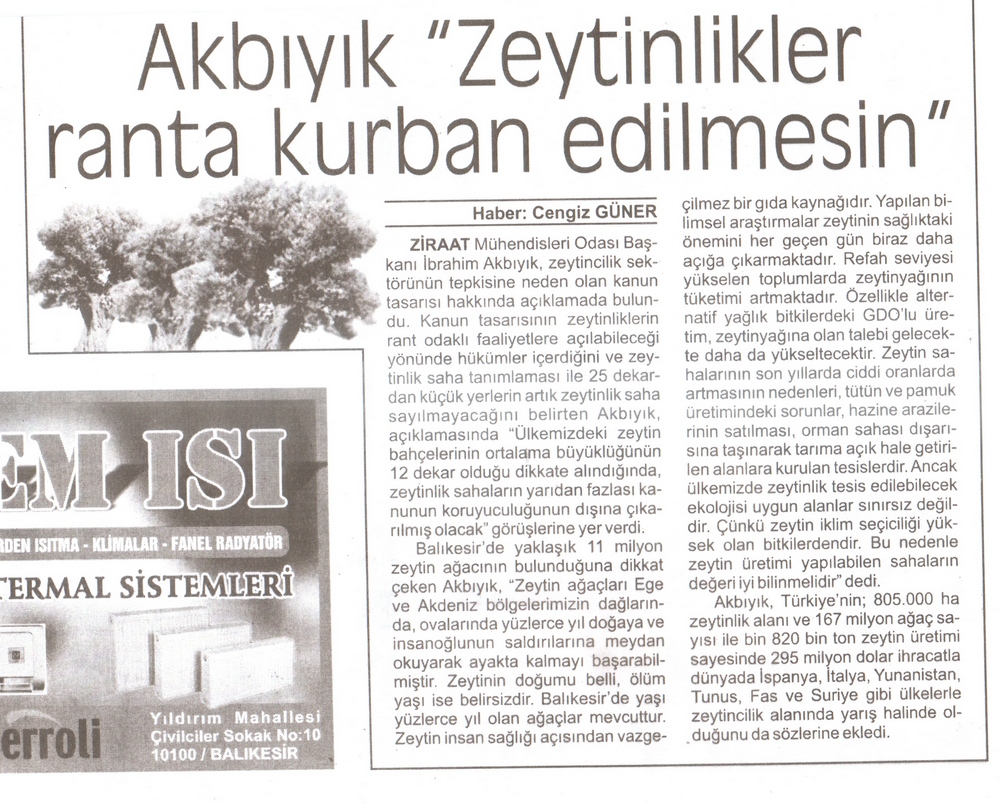 ZEYTİNLİKLERİN İMARA AÇILMASI -YENİ HABER GAZETESİ