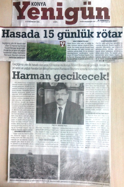 YENİGÜN GAZETESİ - HARMAN GECİKECEK! 