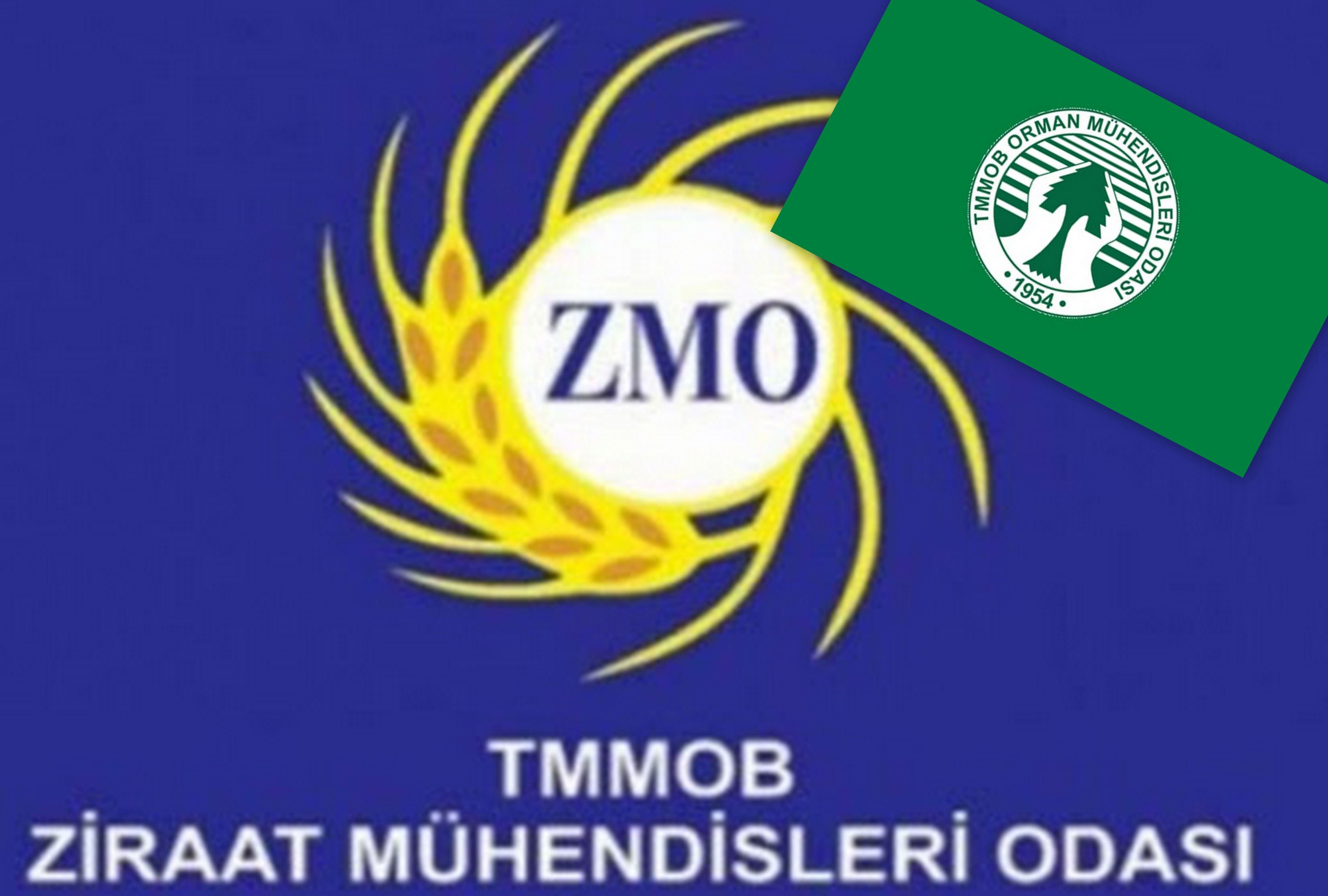 ANKA HABER AJANSI: ORMAN MÜHENDİSLERİ VE ZİRAAT MÜHENDİSLERİ ARASINDA TARTIŞMA ÇIKTI- 10 MAYIS 2020