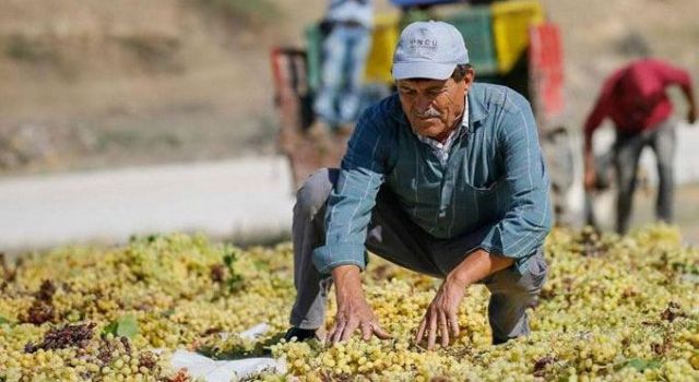 BERK HABER: ÇİFTÇİ ÜRETMEK İÇİN 2020 TEMMUZ İTİBARIYLA BORCA MAHKUM EDİLDİ- 21 EYLÜL 2020