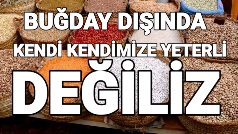 CAFE MEDYAM: GIDA FİYATLARI NEDEN ARTIYOR?- 20 ARALIK 2020