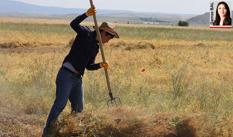 EKİNCİ HABER: ARTAN FİYATLAR İTHALATLA TERBİYE EDİLDİ. TÜCCARIN İNSAFINA BIRAKILAN ÇİFTÇİ YİNE YOKSULLAŞTI- 4 OCAK 2021