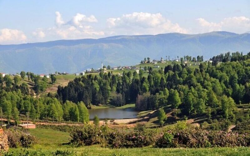 EKOLOJİ BİRLİĞİ: 15 YAYLA STATÜSÜ KALDIRILARAK IMARA MI AÇILACAK? 31.01.2021