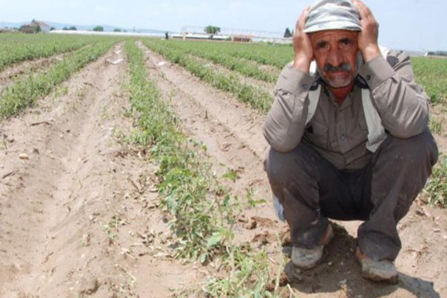 TÜKENMEZ HABER: BORCUNU ÖDEYEMEYEN ÇİFTÇİLER, TEFECİLERİN ELİNE DÜŞÜYOR- 17 ŞUBAT 2021