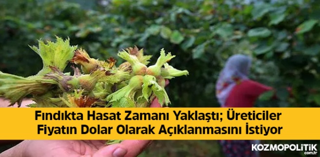 KOZMOPOLİTİK.COM: FINDIKTA HASAT ZAMANI YAKLAŞTI; ÜRETİCİLER FİYATIN DOLAR OLARAK AÇIKLANMASINI İSTİYOR- 14 HAZİRAN 2021