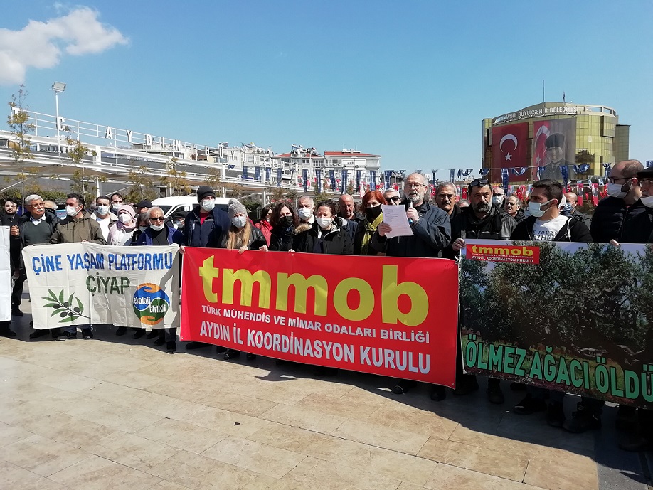 BASIN AÇIKLAMASI: AYDIN`DA "ÖLMEZ AĞACI ÖLDÜRÜLEMEZ"