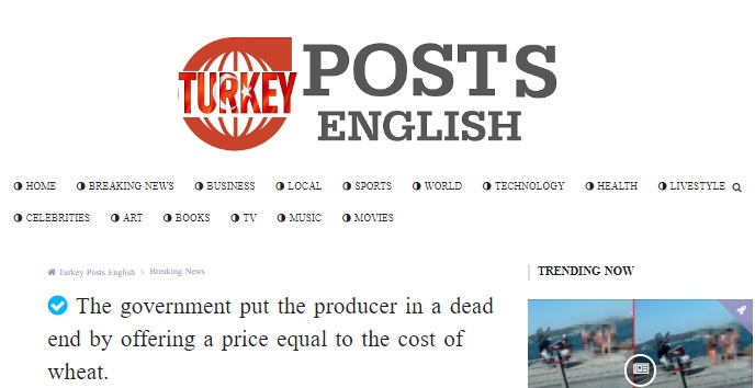 TURKEY POSTS ENGLISH: THE GOVERNMENT PUT THE PRODUCER IN A DEAD END BY OFFERING A PRİCE EQUAL TO THE COST OF WHEAT.- 8 HAZİRAN 2022