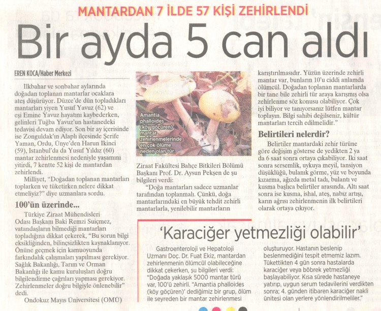 MİLLİYET GAZETESİ: MANTARDAN 7 İLDE 57 KİŞİ ZEHİRLENDİ. BİR AYDA 5 CAN ALDI- 8 KASIM 2022