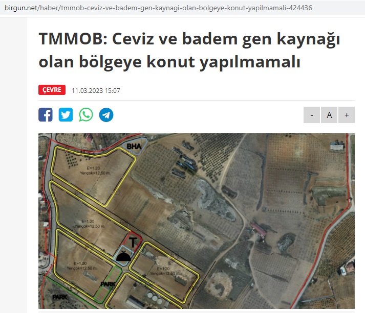 BİRGÜN GAZETESİ: TMMOB: CEVİZ VE BADEM GEN KAYNAĞI OLAN BÖLGEYE KONUT YAPILMAMALI-11 MART 2023