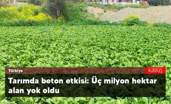 KIBRIS GAZETESİ: TÜRKİYE`DE SON 20 YILDA YAKLAŞIK 3 MİLYON HEKTAR TARIM ALANI KULLANIM AMACI DIŞINA ÇIKARILDI. UZMANLARA GÖRE BU DURUM ÜRETİM ALANLARINI DARALTIRKEN GIDA ENFLASYONUNU DA ARTIRIYOR.- 1 NİSAN 2023