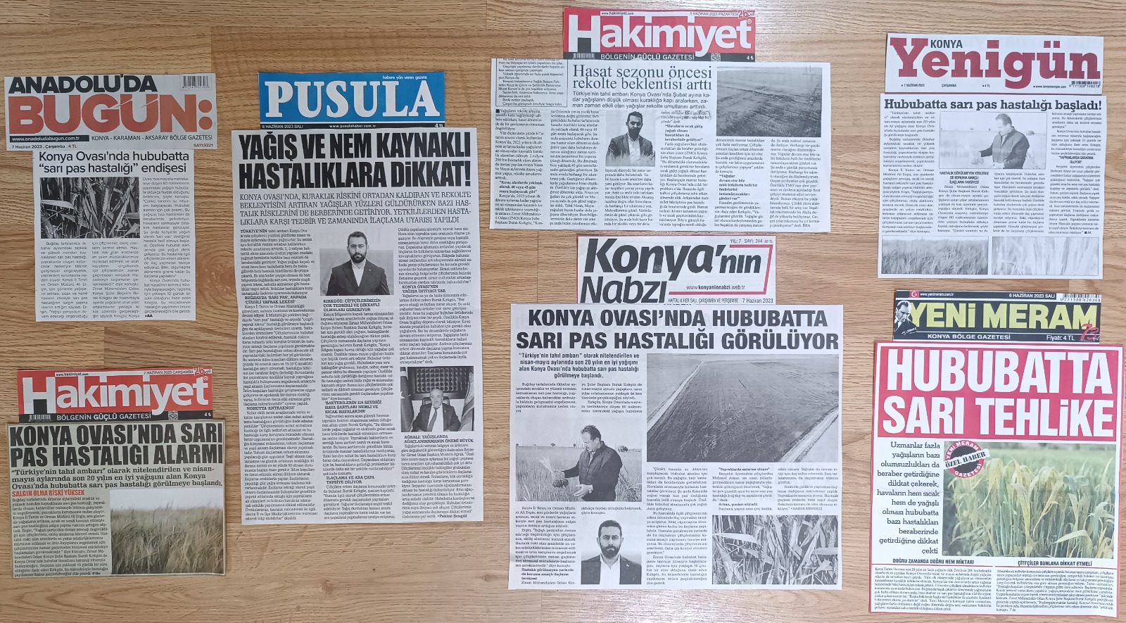 GAZETE HABERLERİ: KONYA OVASI'NDA HUBUBATTA SARI PAS HASTALIĞI - 08 HAZİRAN 2023