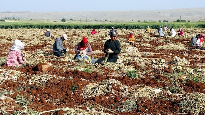 SÖZCÜ: TARIM ÜRÜNLERİ REKOLTESİ VE GIDA FİYATLARINDA EL NİNO TEHDİDİ  11.07.2023
