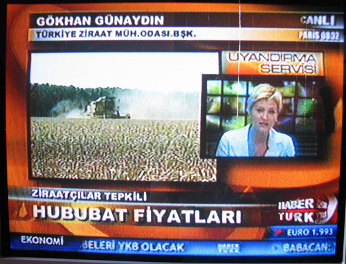 HABERTÜRK TV YAYINI - BUĞDAY FİYATLARI